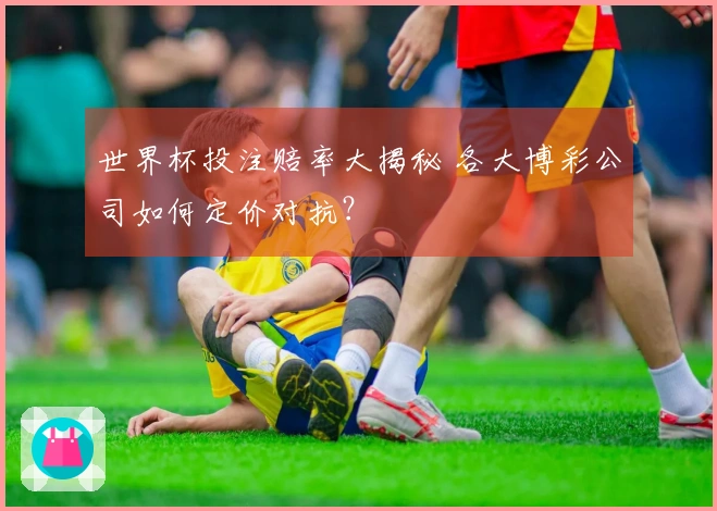 世界杯投注赔率大揭秘 各大博彩公司如何定价对抗？