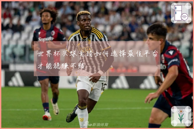 世界杯买球竞猜如何选择最佳平台才能稳赚不赔