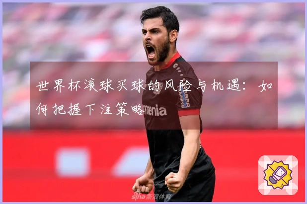 世界杯滚球买球的风险与机遇：如何把握下注策略