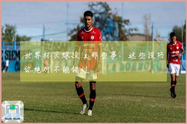 世界杯买球投注那些事，这些技巧你绝对不能错过