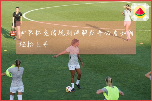 世界杯竞猜规则详解新手必看如何轻松上手