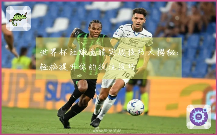 世界杯让球竞猜实战技巧大揭秘，轻松提升你的投注技巧
