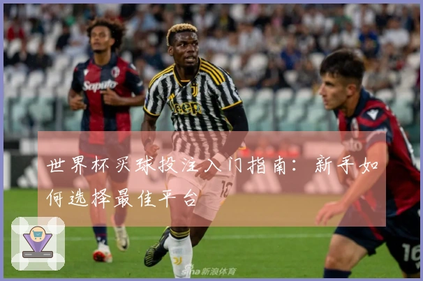 世界杯买球投注入门指南：新手如何选择最佳平台