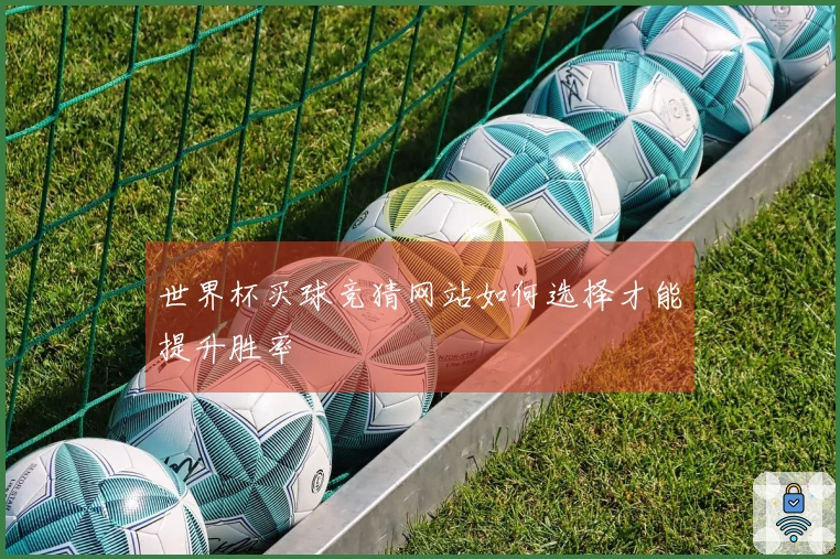 世界杯买球竞猜网站如何选择才能提升胜率