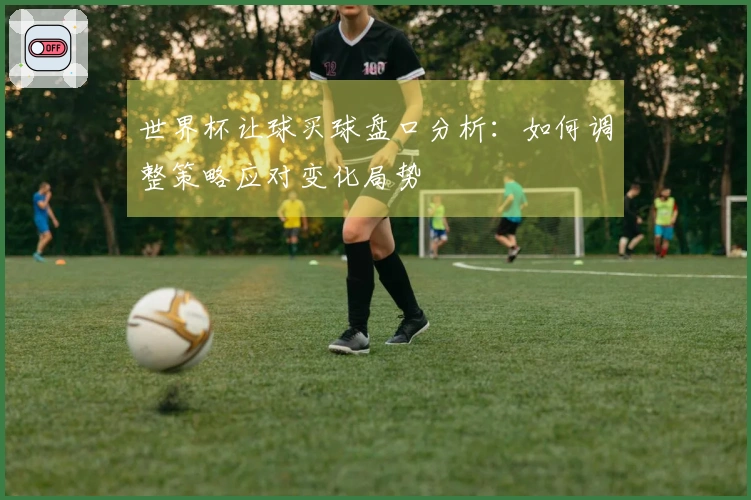 世界杯让球买球盘口分析：如何调整策略应对变化局势