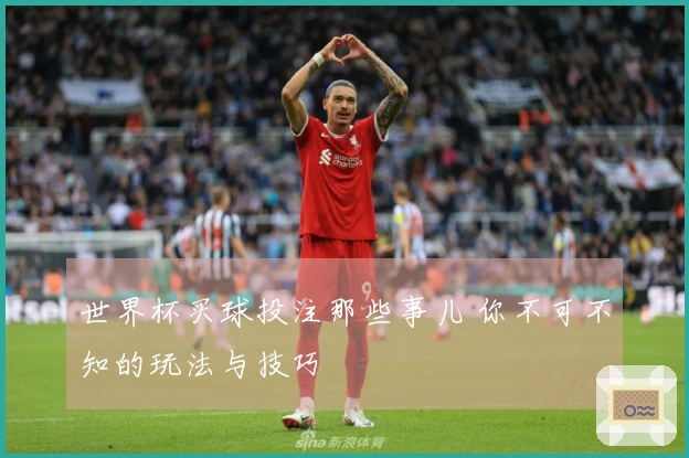 世界杯买球投注那些事儿 你不可不知的玩法与技巧