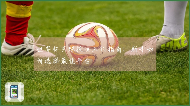 世界杯买球投注入门指南：新手如何选择最佳平台