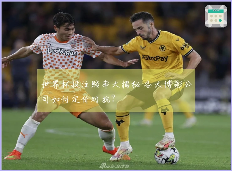 世界杯投注赔率大揭秘 各大博彩公司如何定价对抗？