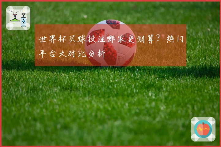 世界杯买球投注哪家更划算？热门平台大对比分析