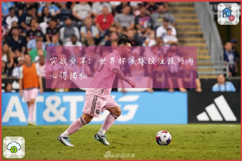 实战分享：世界杯滚球投注技巧与心得揭秘